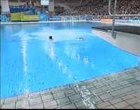 sport diving GIF