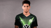 Michael Edwards Reaction GIF by VfL Wolfsburg
