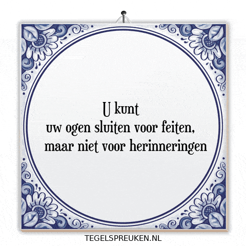 Humor Nl GIF by Tegelspreuken.nl