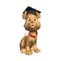 graduation graduate STICKER by imoji