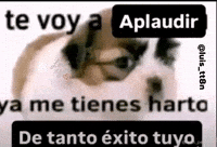 Exitoso GIF