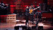 HallmarkChannel dog puppy dogs country music GIF