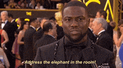 Red Carpet Oscars GIF