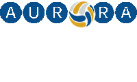 Sport Play Sticker by Aurora Beach Volleyball