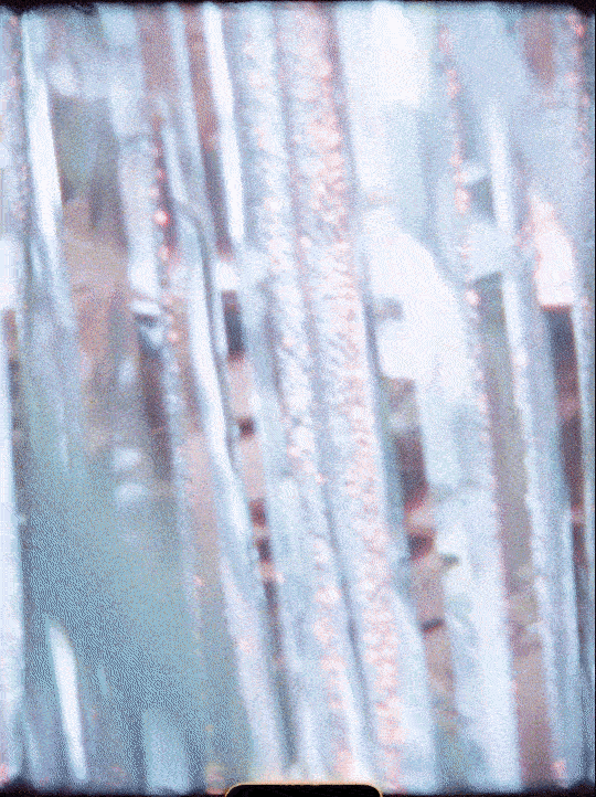 FreckBeauty giphyupload GIF