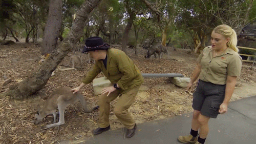 teamcoco giphyupload australia conan giphycocoaus GIF