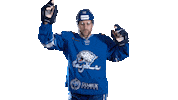 Dance Hockey Sticker by barys_official