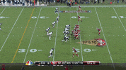 Chicago Bears GIF by hero0fwar
