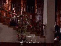 season 2 netflix GIF by Gilmore Girls 