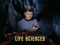 star trek college GIF by University of Alaska Fairbanks