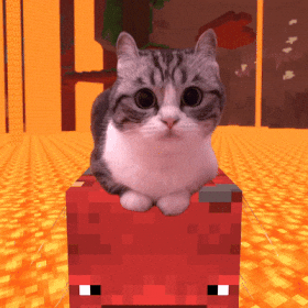 SingNO2 giphyupload komaru minecraft cat GIF