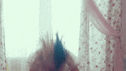 Lunchbox Friends GIF by Melanie Martinez