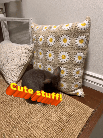 Cute Stuff GIF by jade. HOUSE of Style