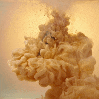 monicaivanipmu monicaivani GIF