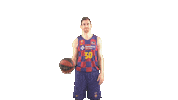 Fc Barcelona Basketball Sticker by ACB