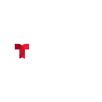 decision2020 telemundonoticias Sticker by Telemundo