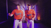 Uva Baseball GIF by Virginia Athletics