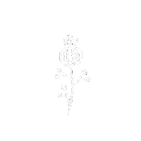 Summer Flower Sticker