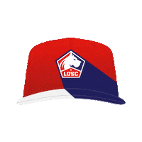football soccer Sticker by LOSC