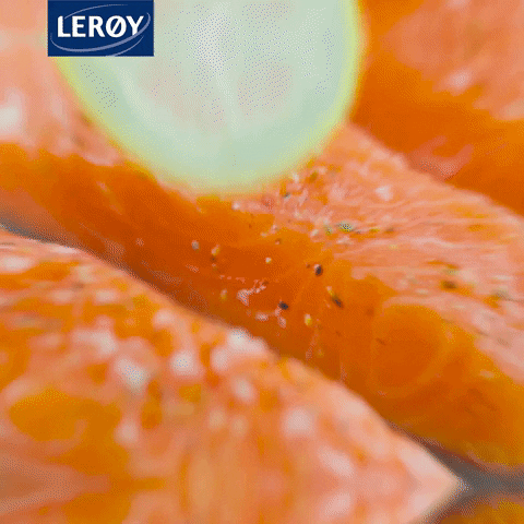 fish health GIF by Lerøy Seafood