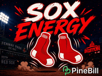 Red Sox Baseball GIF by PineBill
