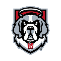 dyouville university saints buffalo higher education Sticker