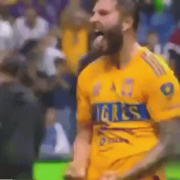 Liga Mx Tigres GIF