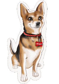 Dog Pet Sticker