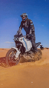 racing_rabbit motorcycle moto enduro ducati GIF