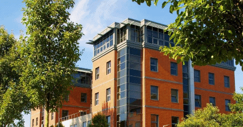 GIF by UCLan