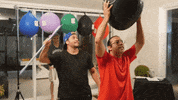 felipe neto GIF by Irmãos Neto