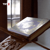 Book Reading GIF by TRT
