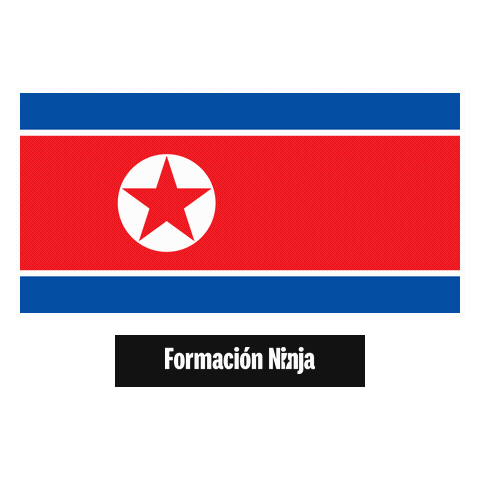 North Korea Flag Sticker by Formación Ninja