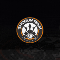Ufc Esportes GIF by Shogun Team