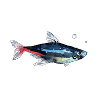 Sea Fish Sticker