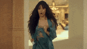 Liar GIF by Camila Cabello