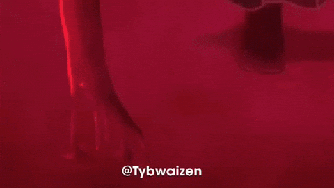 Bleach Tybw GIF
