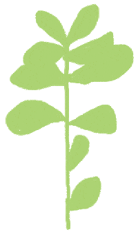 Art_by_Nerea happy nature flower green Sticker