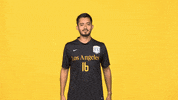Sport Calstatela GIF by Cal State LA Golden Eagles