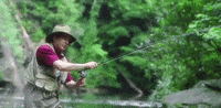 south carolina GIF
