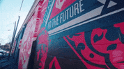 south carolina GIF