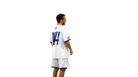 College Sports Ncaa Sticker by Delaware Blue Hens