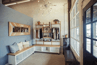 BeMoveDanceConnect dance fitness women workout GIF