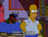 homer simpson please GIF
