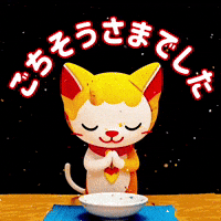 Cat ねこ GIF