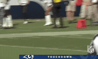 2018 Nfl Football GIF by NFL