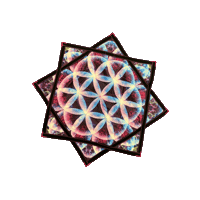spinflowstar flowstar spinflowstar Sticker