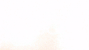 Celebration Goal GIF by FC Red Bull Salzburg