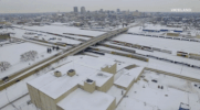 viceland GIF by RISE