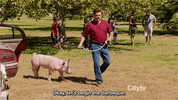 selina meyer GIF